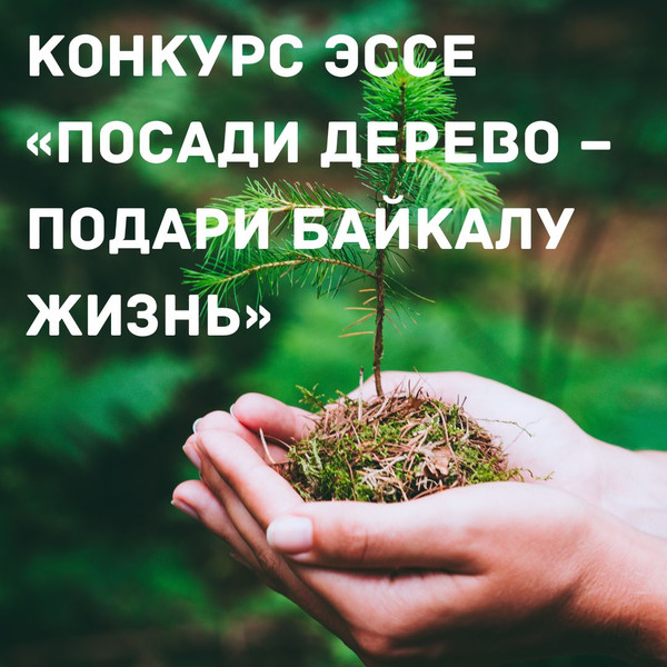Конкурс эссе «Посади дерево – подари Байкалу жизнь»